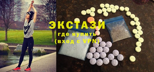 молекула духа Богданович