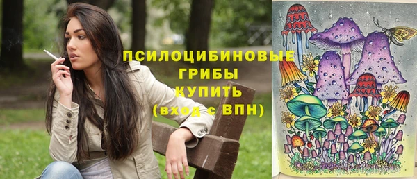 молекула духа Богданович