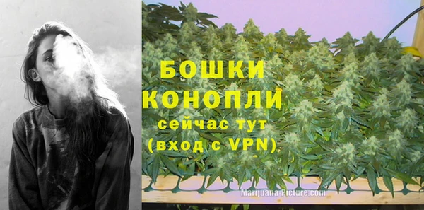 молекула духа Богданович