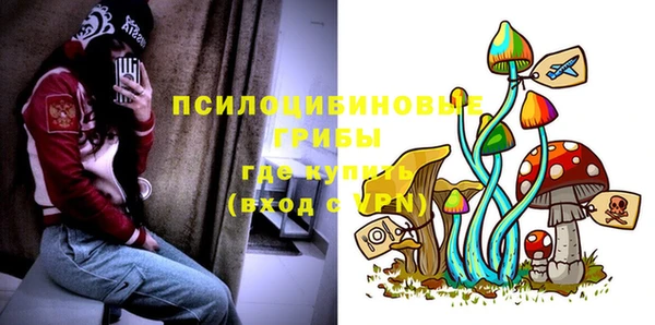 молекула духа Богданович
