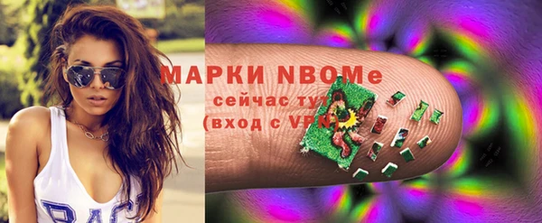 молекула духа Богданович