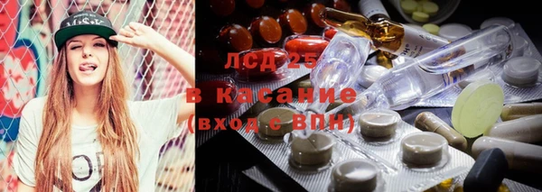 молекула духа Богданович